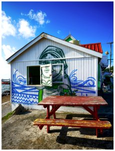 2016-11 Grenadines-047-20161201 photo