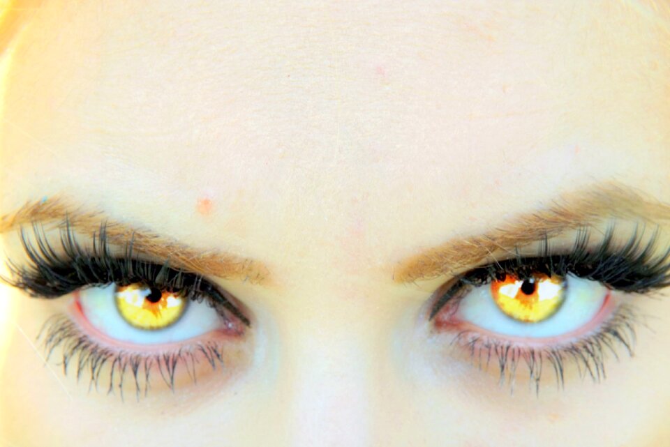 Yellow vampire gene