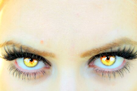Yellow vampire gene