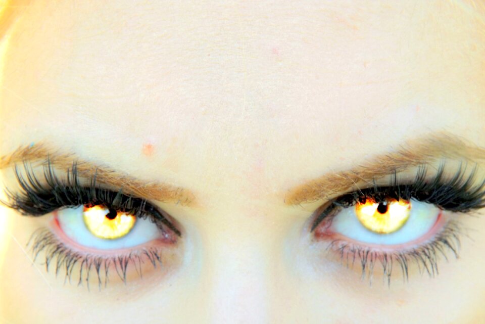 Yellow vampire gene