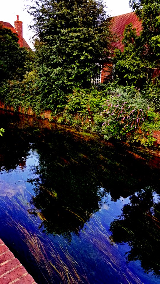 The Great River Stour in Canterbury