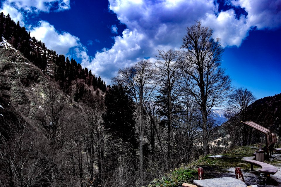 Ayder