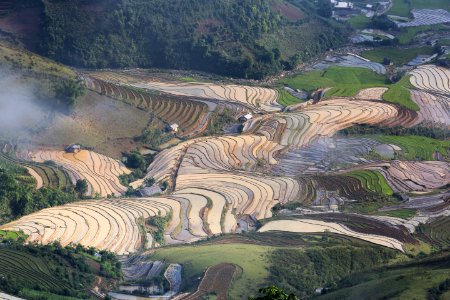 Terraced paddy fields, Vietnam photo