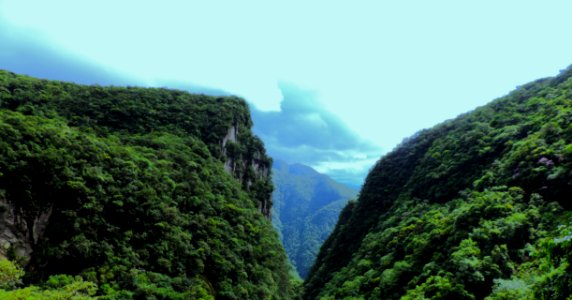 O Abismo Verde GabrielaSMüller