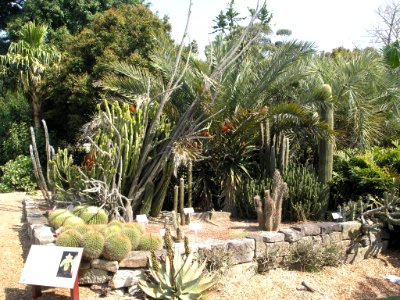P9127684