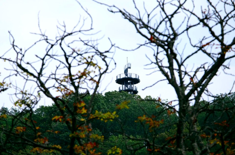 Distant autumn park