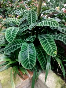 Botanical Garden