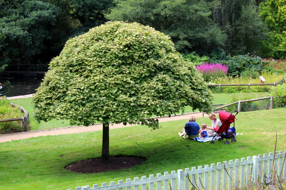 Golden Acre Park - Leeds
