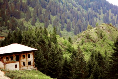 Çahçor yaylası Senoz Çayeli Rize