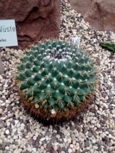 Botanical Garden