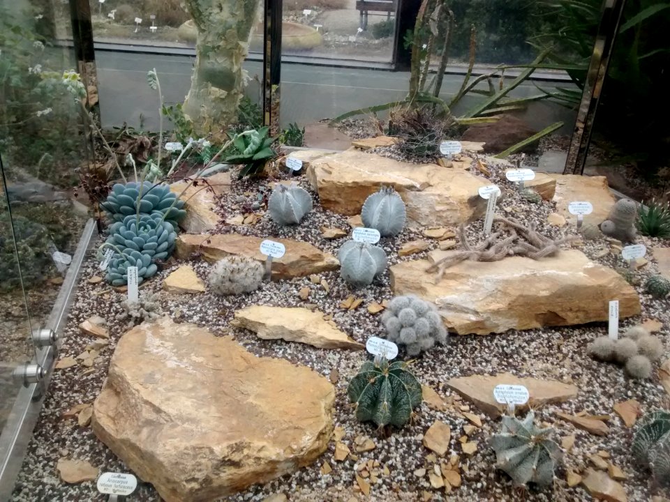 Botanical Garden