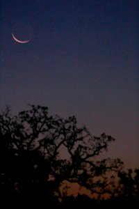 Crescent Moon