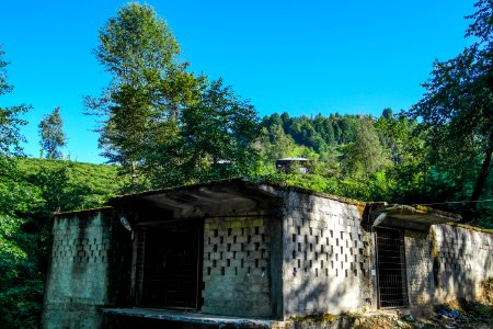 Başköy Senoz Çayeli Rize