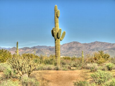 Arizona desert landscape southwest photo