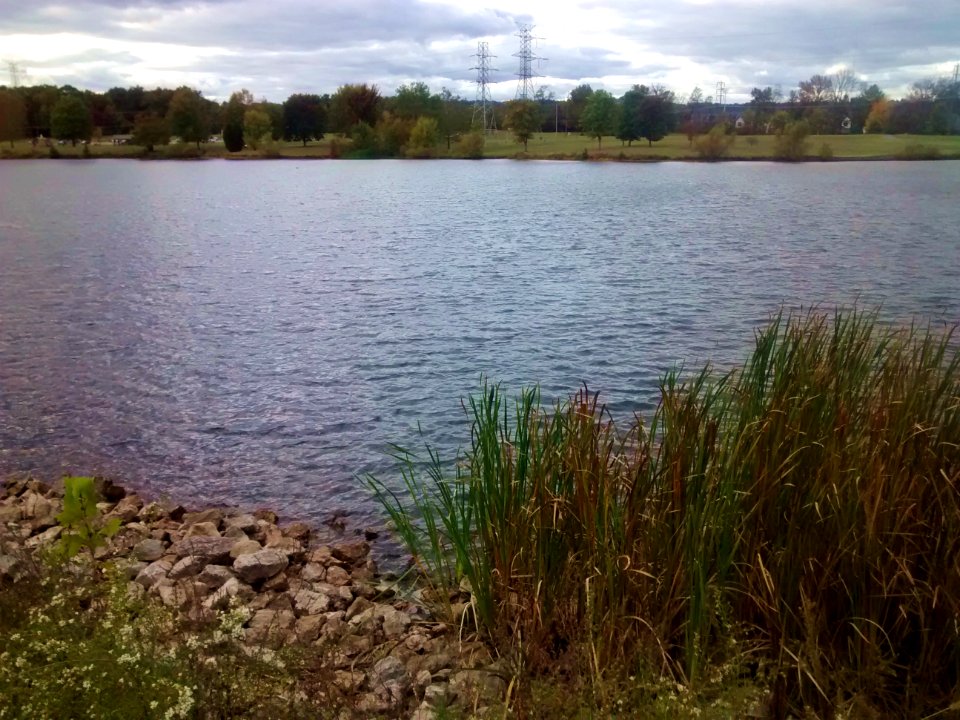 Lake
