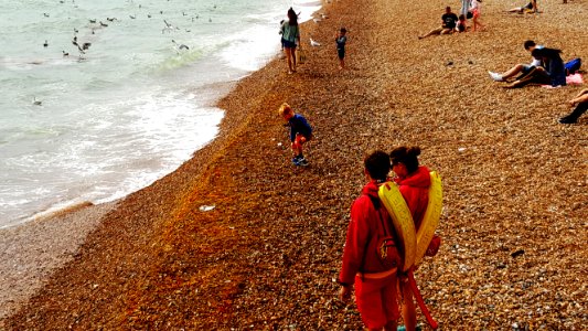 Brighton - a lifeguarded beach photo