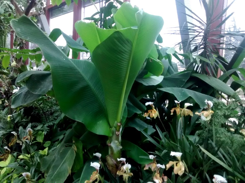 Botanical Garden