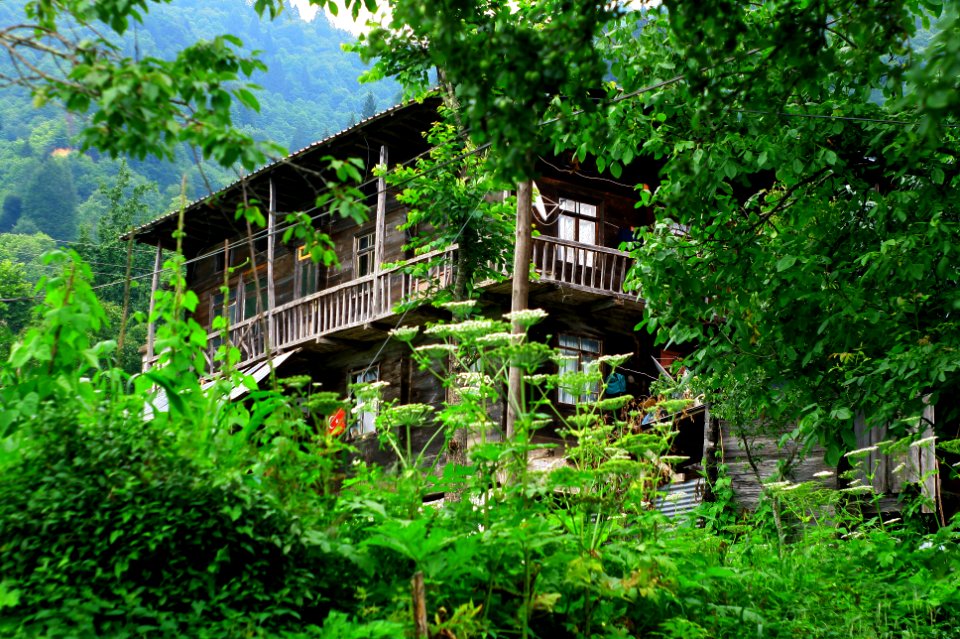 Başköy-Senoz-Çayeli-Rize