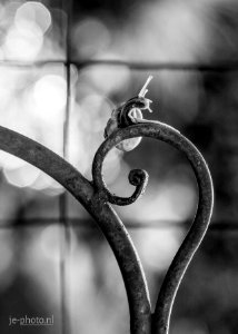 Snail’s pace ll