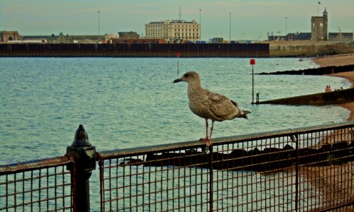 At Dover harbour