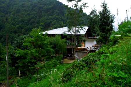 Başköy-Senoz-Çayeli-Rize