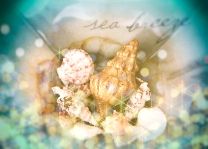 Sea Breeze
