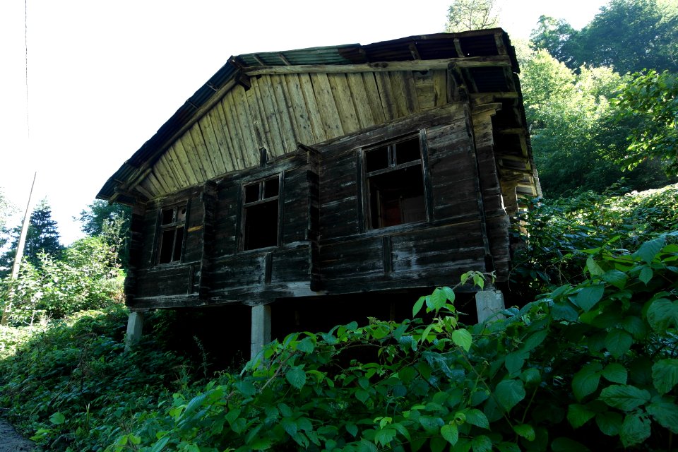 Başköy Senoz Çayeli Rize
