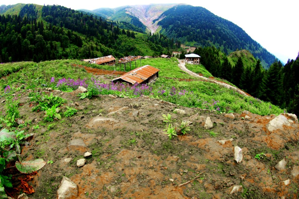 Çahçor yaylası Senoz Çayeli Rize