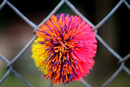 Ball on fence