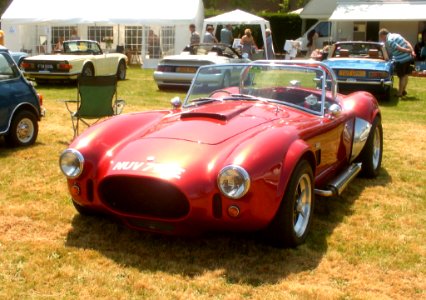 cobra at the smarden classic car show 21st june 2014