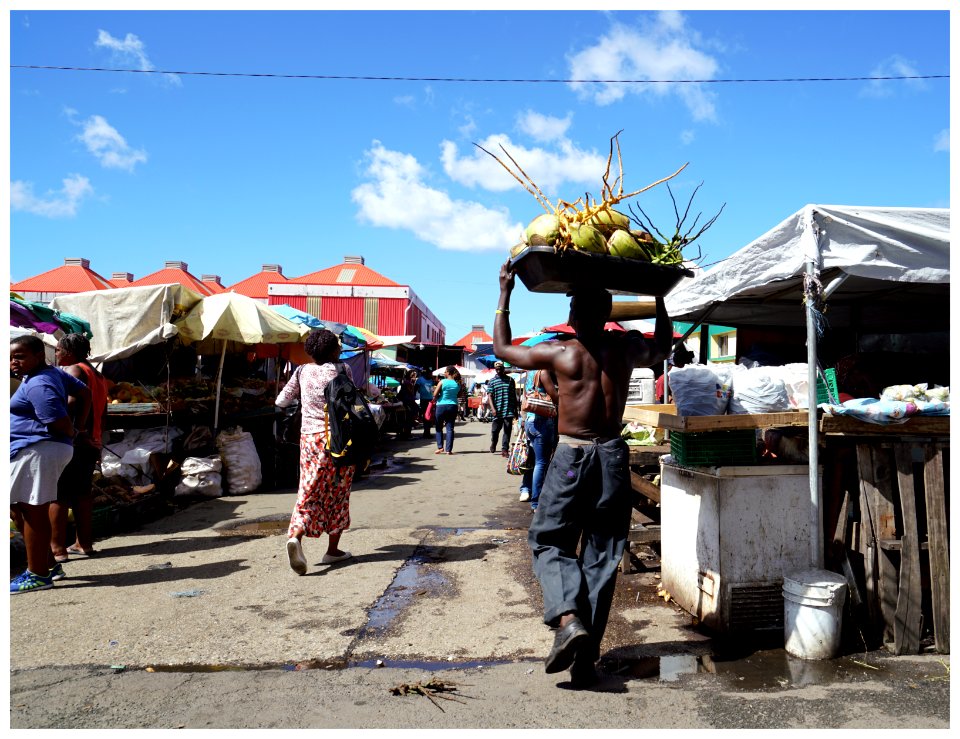 2016-11 Grenadines-109-20161203