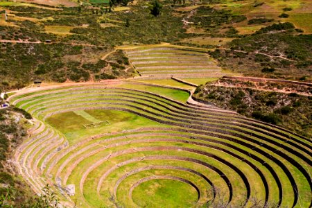 Inca agriculture, Peru