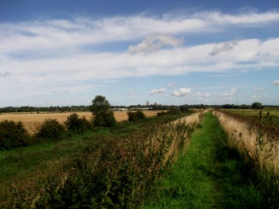 Ely Fen 5