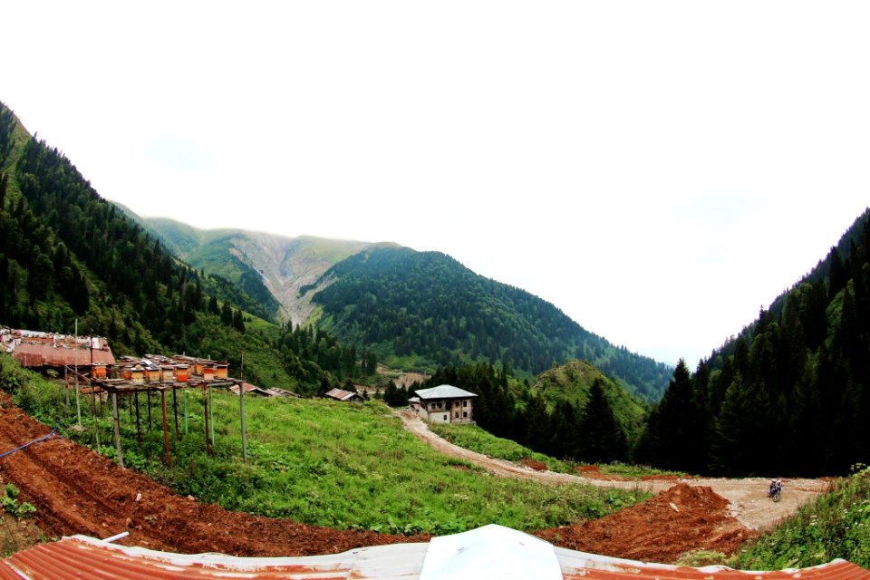 Çahçor yaylası Senoz Çayeli Rize