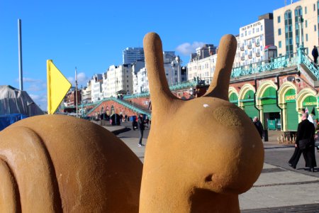 BRIGHTON