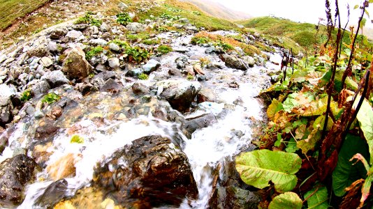 Ambarlı Yaylası Rize