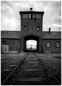2016-11 Auschwitz- 22-20161111 photo