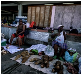 2016-11 Grenadines-090-20161203 photo