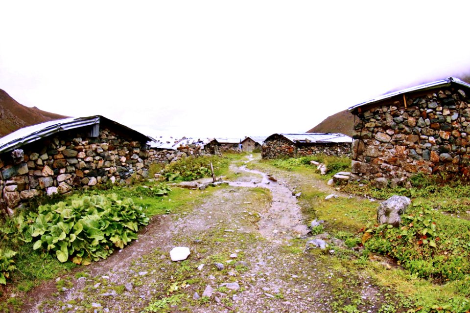 Ambarlı Yaylası Rize