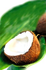 coconut on the leaf