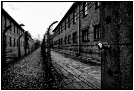 2016-11 Auschwitz- 07-20161111