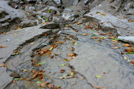 Başköy-Senoz-Çayeli-Rize