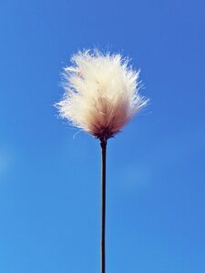 Sunny sky blue