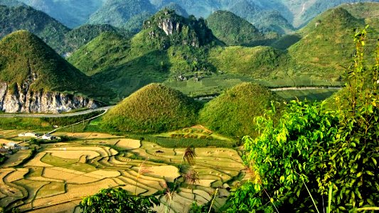 Paddy fields, Ha-giang, Vietnam photo