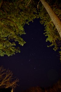 Nachthimmel Orion Sternbild