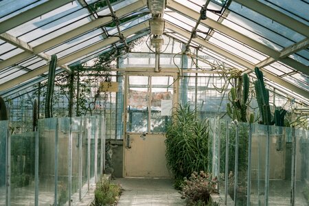 Grow plant gardening