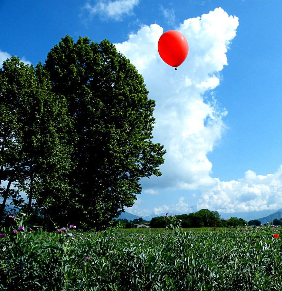 zz-Pallone-Cielo-Cinquino-Ridotta