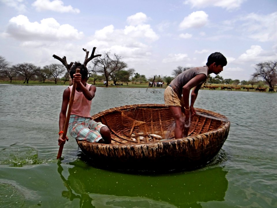 Makeshift basket boat, coracle, India
