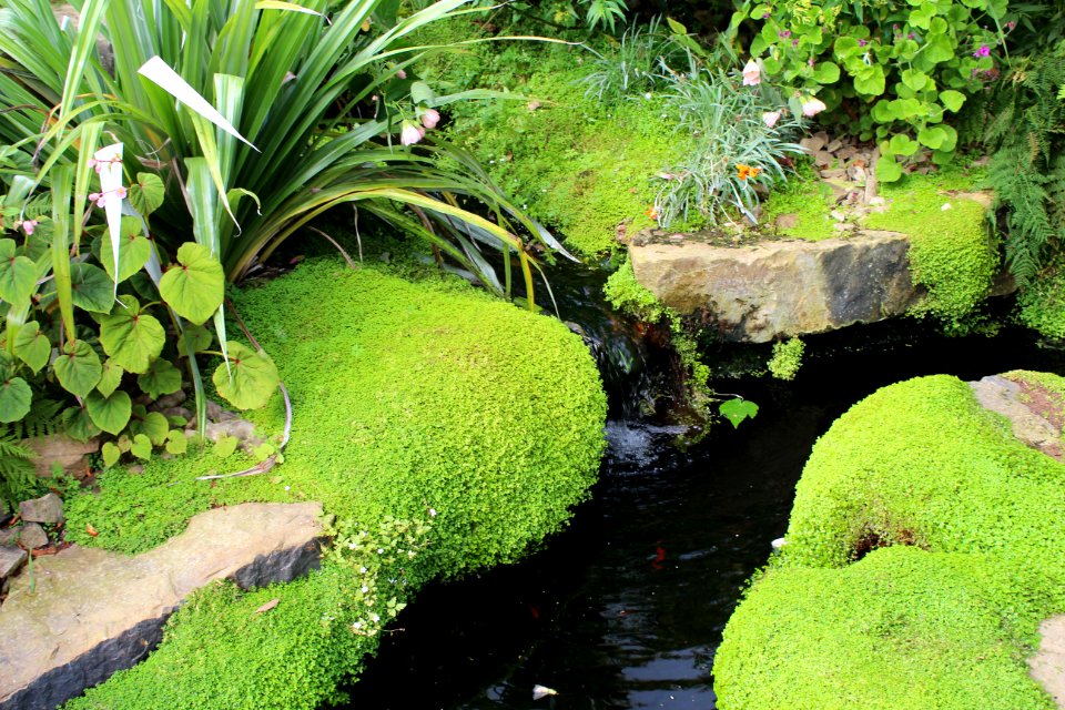 Golden Acre Park - Leeds