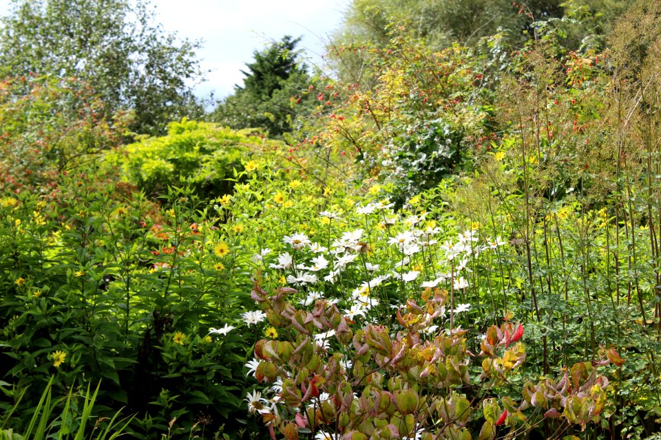 Golden Acre Park - Leeds